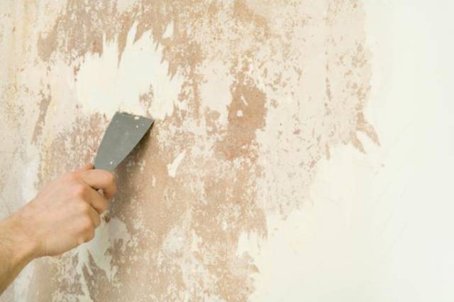 Xử lý bề mặt tường thật kỹ trước khi lăn sơn