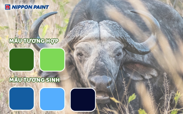 Gia chủ tuổi Quý Sửu 1973 hợp màu xanh lá, xanh lục, xanh dương, đen,...