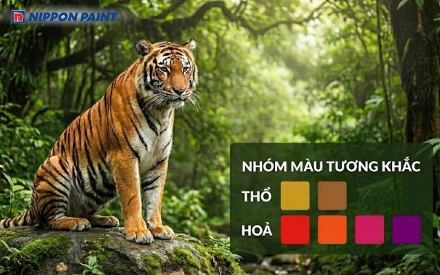 Nhóm màu tương khắc với gia chủ sinh năm 1974