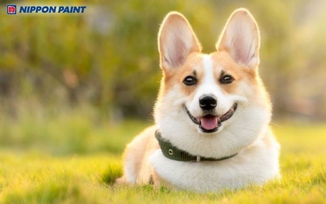 Người sinh năm 1982 là người có tính cách chính trực, giữ chữ tín