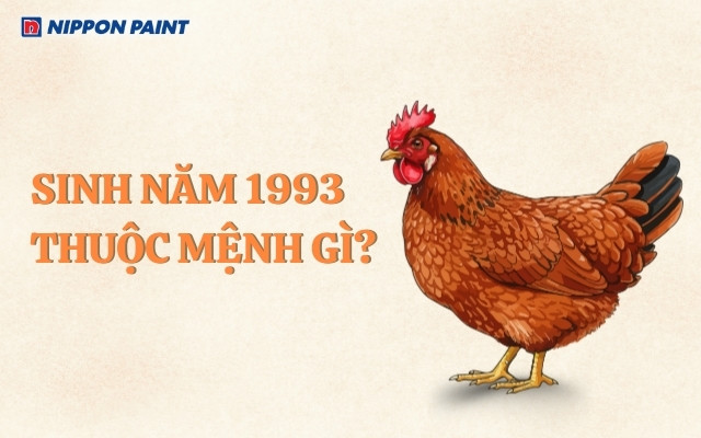 Gia chủ Quý Dậu 1993 thuộc mệnh Kim