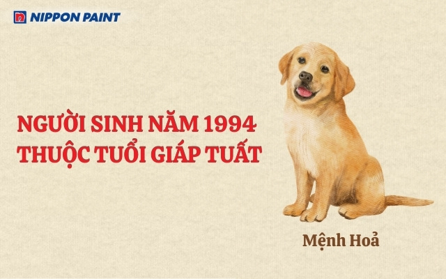 Người sinh năm 1994 Giáp Tuất thuộc mệnh Hỏa