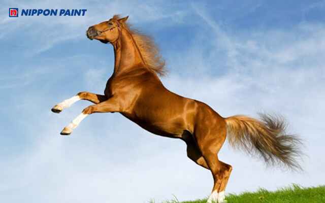 Người sinh năm 2002 thuộc mệnh Dương Liễu Mộc, tượng trưng cho sự uyển chuyển