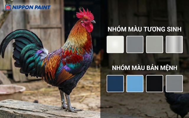 Tuổi Ất Dậu 2005 hợp với các màu trắng, xám, ghi, bạc, xanh dương, xanh da trời, đen