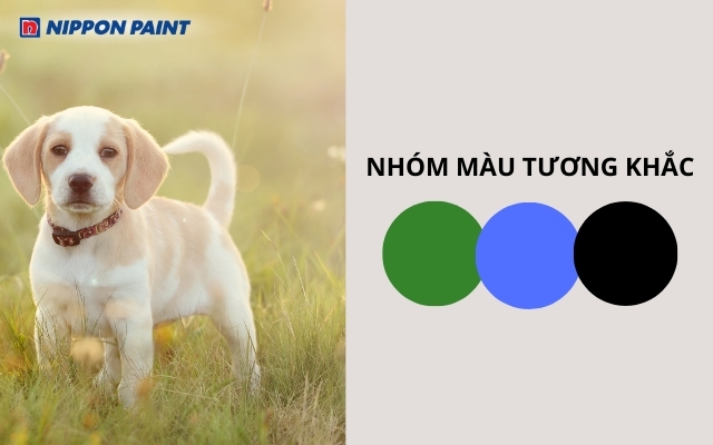 Người sinh năm 2006 nên hạn chế sử dụng màu xanh lam trong nhà vì dễ gây hao tổn năng lượng