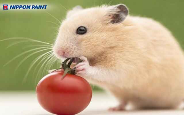 Người sinh năm 2008 tuổi Mậu Tý mang năng lượng mạnh mẽ của mệnh Hỏa