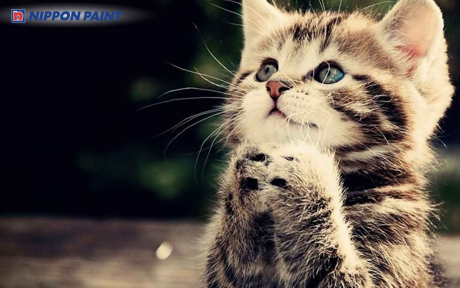 Nữ Tân Mão 2011 dịu dàng, giàu lòng trắc ẩn và yêu sự bình yên