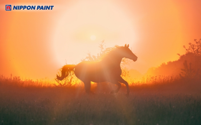 Người sinh năm 2014 thuộc tuổi Giáp Ngọ, mang mệnh Kim, nạp âm Sa Trung Kim