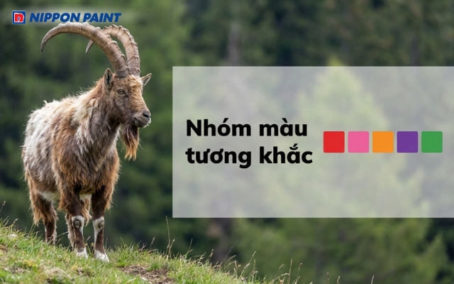 Người tuổi Ất Mùi 2015 kỵ màu đỏ, hồng, cam, tím, xanh lá cây