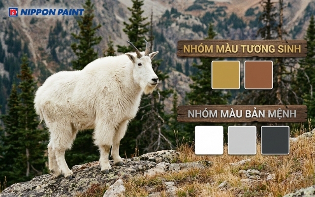 Người tuổi Ất Mùi 2015 hợp màu Vàng, nâu đất, trắng, xám, ghi