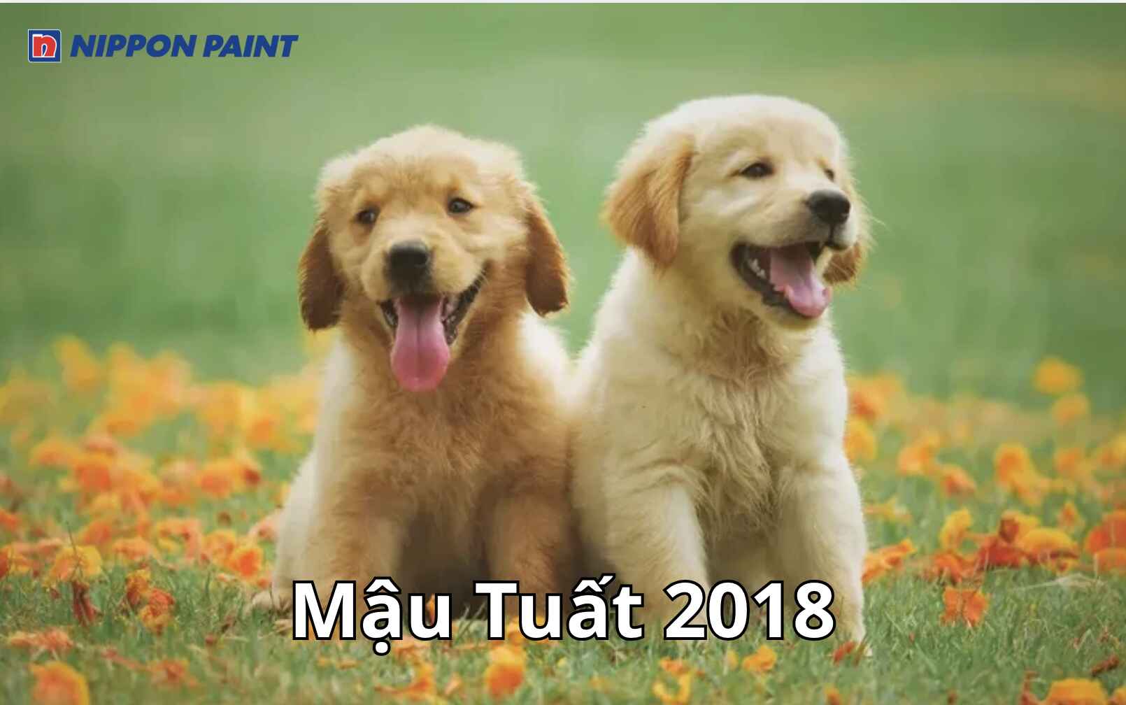 Người sinh năm 2018 thuộc tuổi Mậu Tuất, cầm tinh con chó