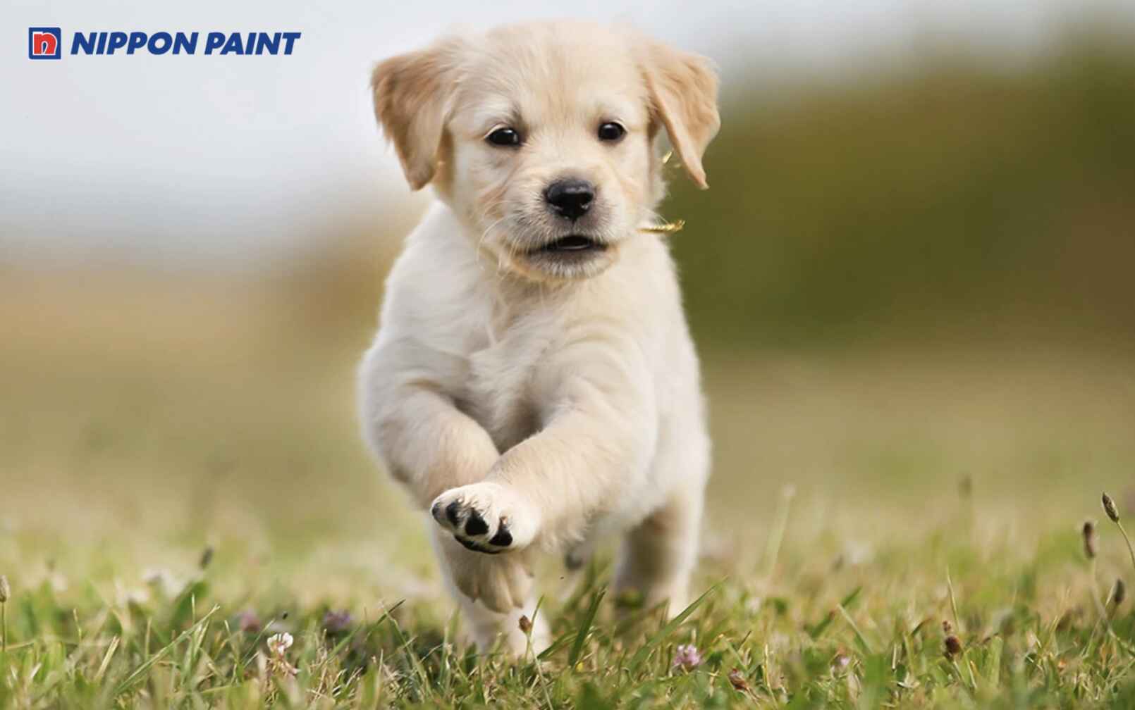 Ưu tiên màu hợp mệnh giúp người sinh năm 2018 duy trì năng lượng tích cực