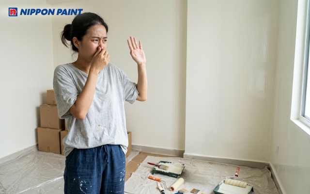 Mùi sơn nhà mới chủ yếu đến từ các chất hữu cơ (VOC) trong sơn bay hơi