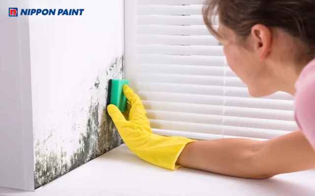 Vệ sinh định kỳ bếp và phòng tắm giảm dầu mỡ, nấm mốc và ẩm thấp