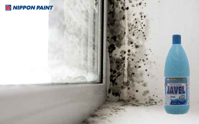 Nước Javel diệt khuẩn và tẩy nấm mốc hiệu quả cho tường