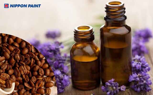 Cà phê và tinh dầu tạo mùi thơm và giúp làm sạch bụi bẩn tường