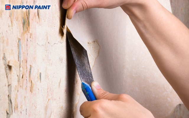 Bạn không nên lớp chồng lớp sơn mới lên tường mà phải cạo sạch lớp sơn cũ trước đó