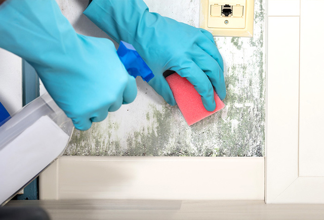 Cách tẩy mốc sơn tường nhà bằng xà phòng