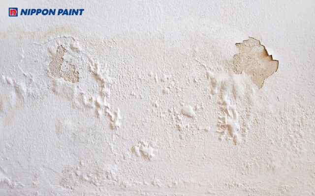 Bỏ qua sơn lót khiến tường dễ bong tróc, loang lổ và xuống cấp nhanh