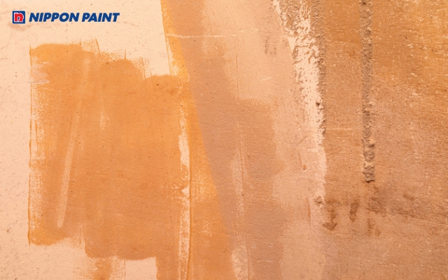 Lớp sơn phủ không đều màu