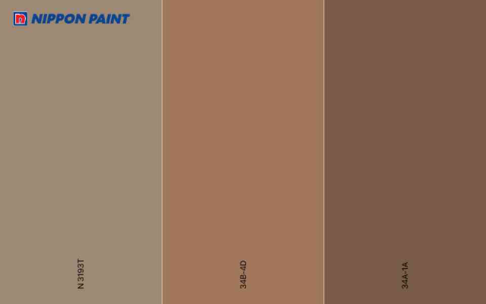 3 màu thuộc nhóm nâu phổ biến tại Nippon Paint