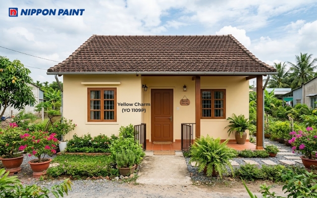 Yellow Charm (YO 1109P) phủ toàn bộ mặt tiền dưới hệ mái ngói nâu truyền thống