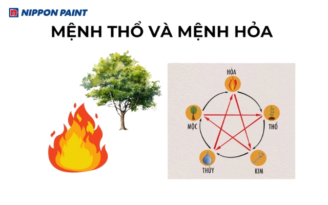 Màu đỏ hợp mệnh Hỏa và Thổ, tăng sức mạnh và vận khí tích cực cho gia chủ