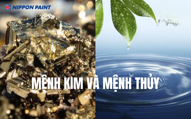 Người mệnh Kim và Thủy nên hạn chế dùng đỏ để tránh căng thẳng và mất cân bằng