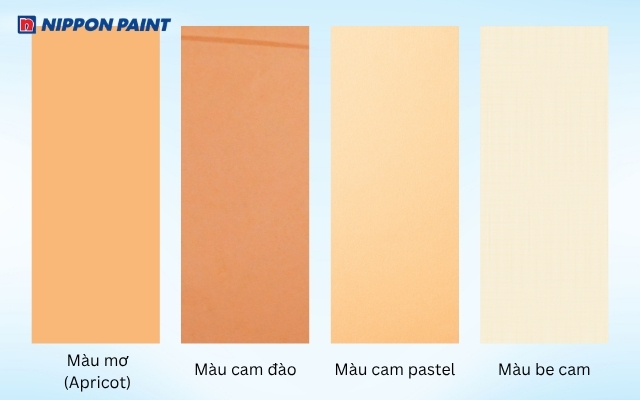 Màu mơ khác biệt với các gam màu gần giống nhờ sắc cam pha vàng đặc trưng