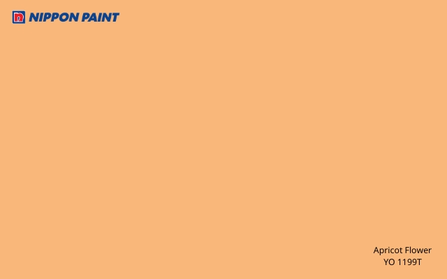 Màu Apricot được đặt theo sắc vàng cam đặc trưng của quả mơ châu Âu khi chín
