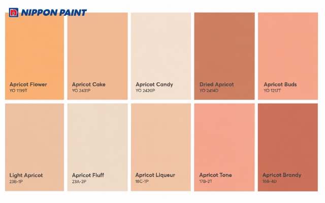 Bộ sưu tập màu Apricot của Nippon Paint phù hợp với nhiều phong cách và không gian
