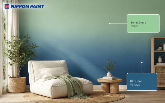 Tường ombre xanh nổi bật trên nền nội thất sáng màu và chất liệu tự nhiên