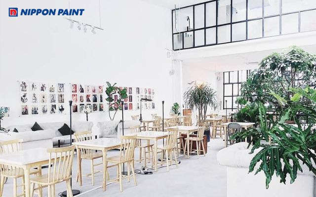 Màu be, xám nhạt, trắng kem là những màu sơn đẹp cho quán cà phê mà bạn nên tham khảo