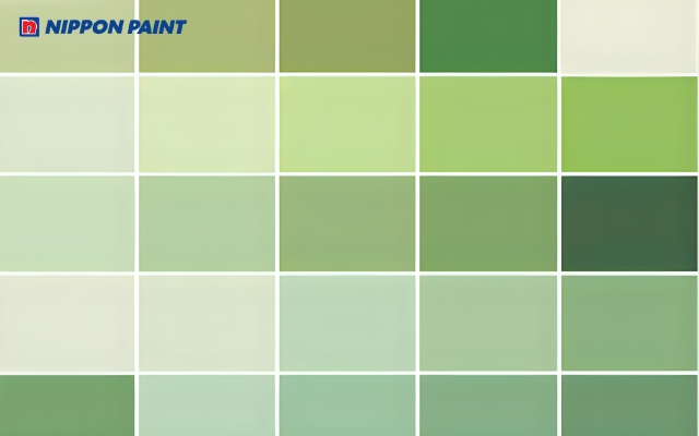 Gia chủ mệnh Mộc phù hợp với màu xanh: xanh lá, xanh dương, màu đen...