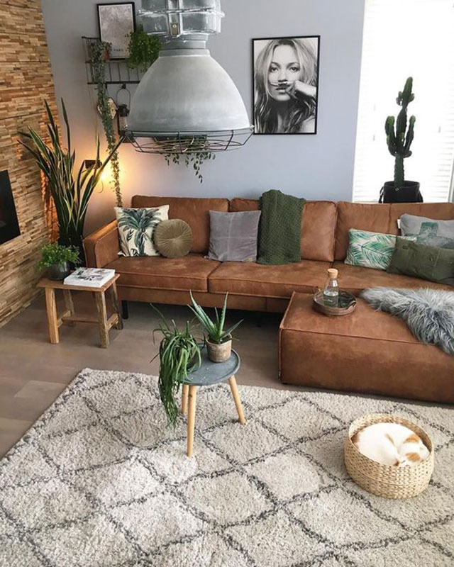 Phòng khách sơn tông màu ghi đậm thì bạn có thể điểm thêm sắc xanh của cây, vừa mát mắt lại khiến không khí thêm trong lành