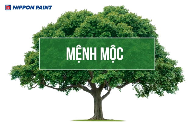 Người mệnh Mộc đại diện cho sự sinh trưởng, phát triển
