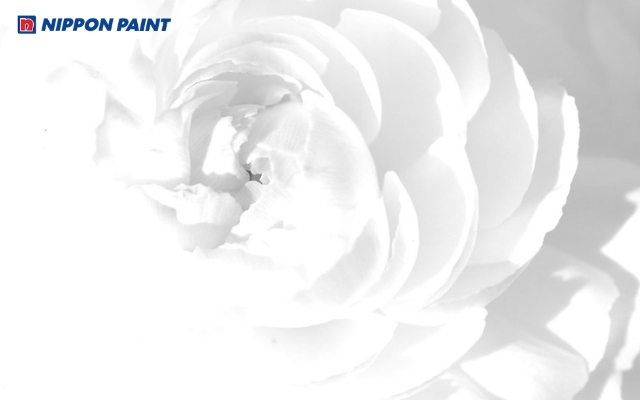 Màu trắng là sự hội tụ của tất cả ánh sáng đơn sắc trong dải quang phổ