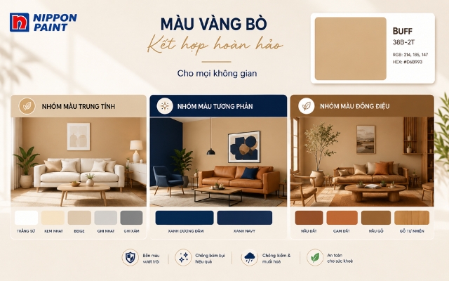 Màu sơn vàng bò khi kết hợp cùng các màu sơn khác