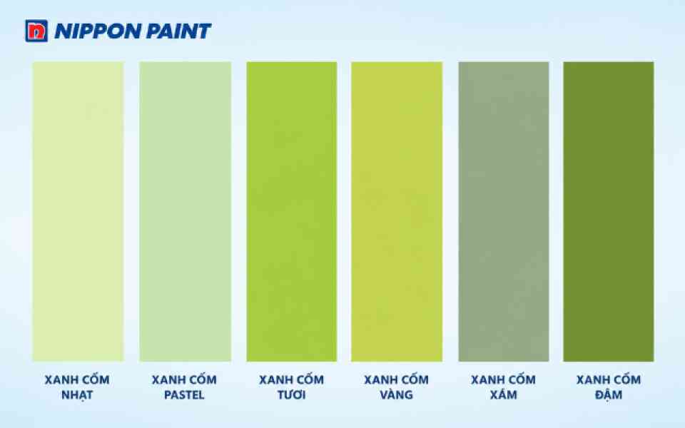 Các sắc độ xanh cốm phổ biến