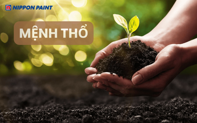 Người mệnh Thổ luôn gợi lên hình ảnh của đất, tượng trưng cho sự vững chắc