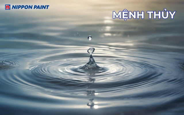 Mệnh Thủy đại diện cho nước, dòng chảy và nguồn năng lượng linh hoạt trong Ngũ hành