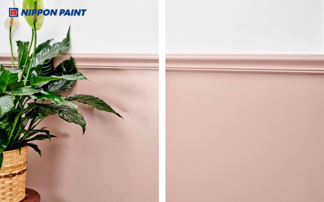 Sơn mịn (Matte Paints) gần như không có độ phản quang khi sơn lên