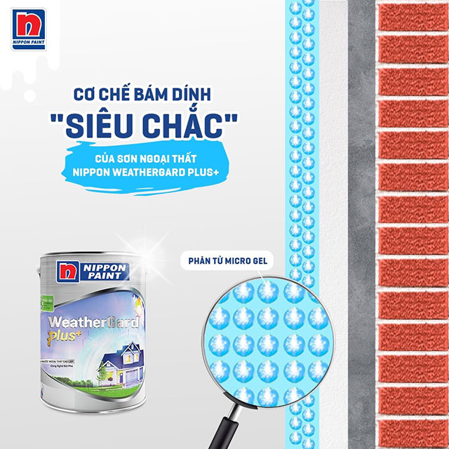 Sơn chống thấm ngoại thất - Ảnh 3