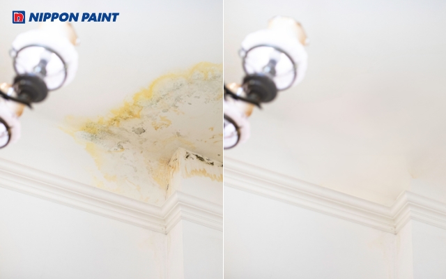 Lớp bảo vệ chống thấm cho trần nhà giữ bề mặt luôn khô ráo, bền đẹp qua mọi mùa mưa