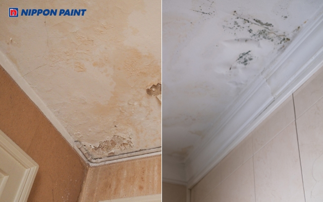 Trần nhà có vết nứt do tuổi thọ công trình hoặc sử dụng loại sơn ngoại thất kém chất lượng