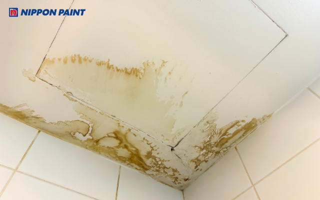 Việc không chống thấm trần có thể gây hư hại nghiêm trọng đến công trình nhà ở