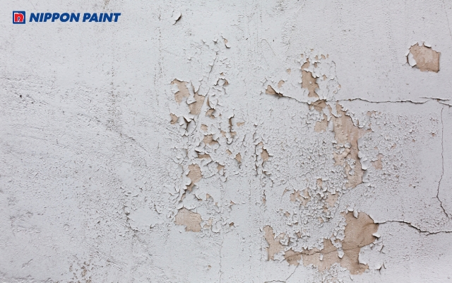 Hiện tượng bong tróc sơn do lớp phủ bị xi măng ăn mòn khi xảy ra phản ứng kiềm hóa