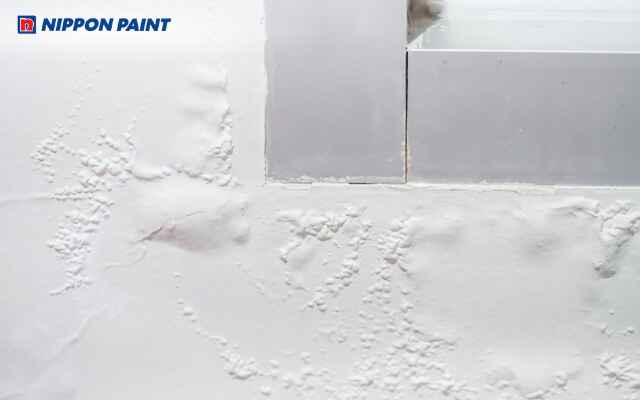 Độ ẩm tường quá cao làm màng sơn phồng rộp và bong tróc theo thời gian