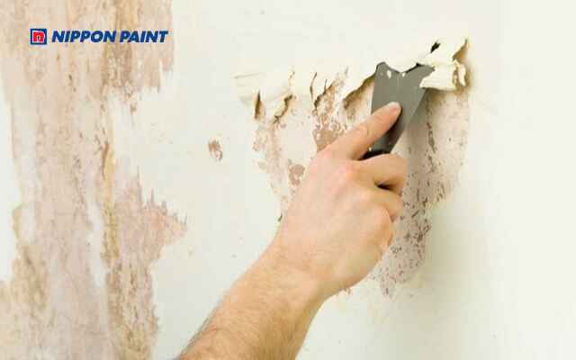 Loại bỏ lớp sơn cũ và làm nhẵn tường trước khi sơn lại để bền đẹp