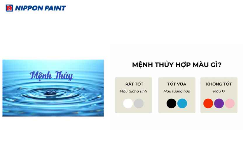 Màu trắng hợp với người tuổi Sửu mệnh Thủy